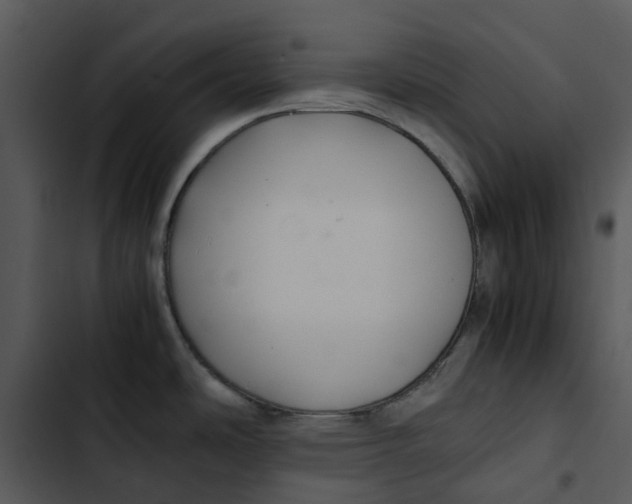 X0000102841486200809081208