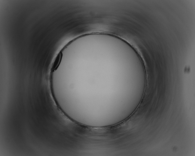 X0000102841488200809081208