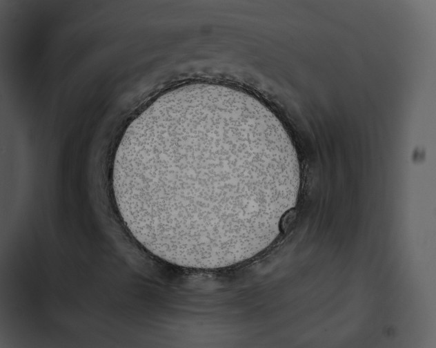 X0000102841489200809081207