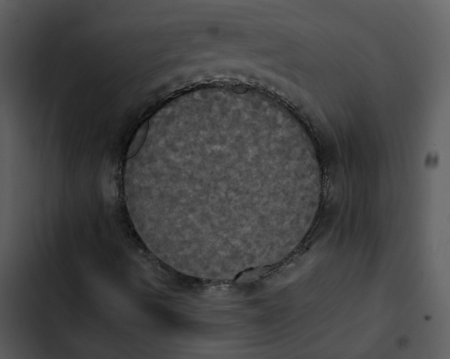 X0000102841490200809081207