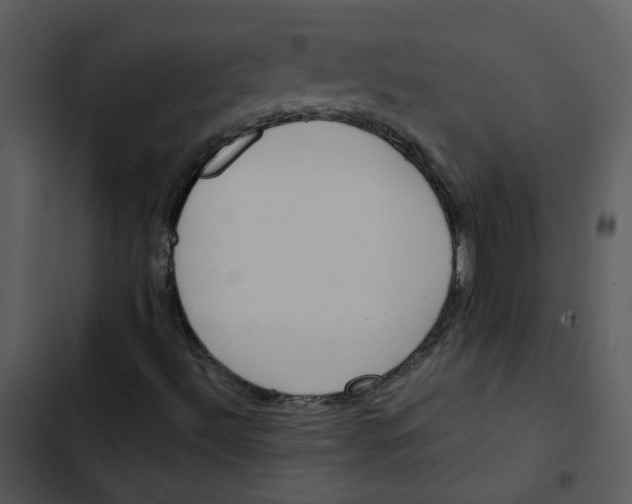 X0000102841492200809081207