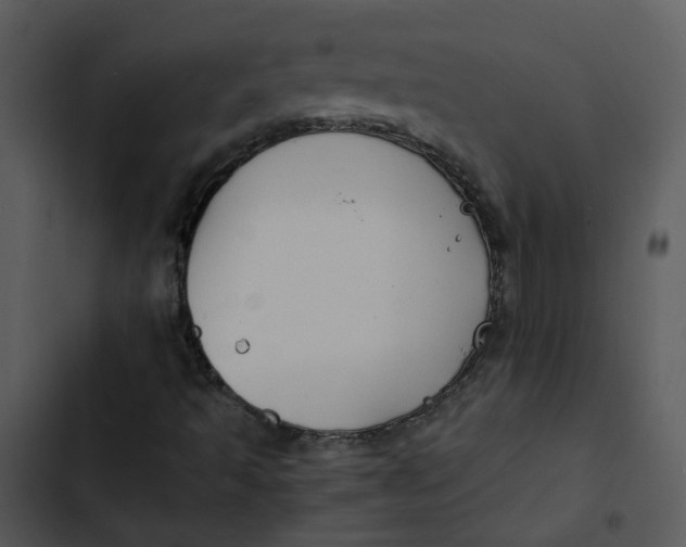 X0000102841493200809081207