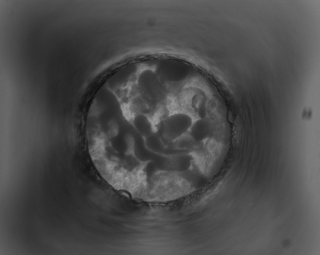 X0000102841494200809081207