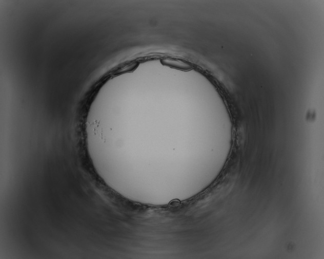 X0000102841496200809081207