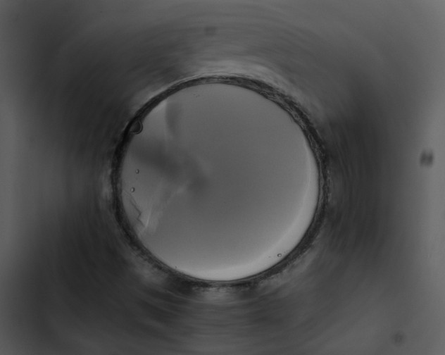 X0000102841497200809081207