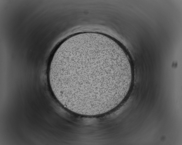 X0000102841498200809081207