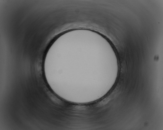 X0000102841499200809081207