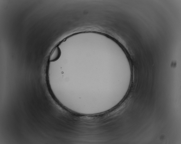 X0000102841500200809081207