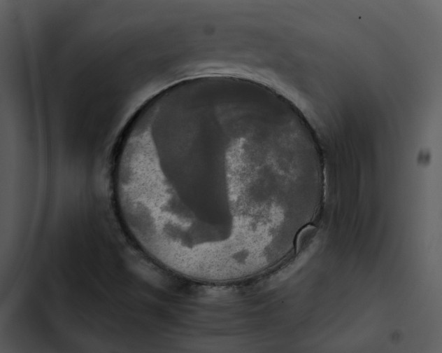 X0000102841501200809081207