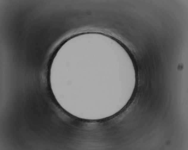 X0000102841502200809081207