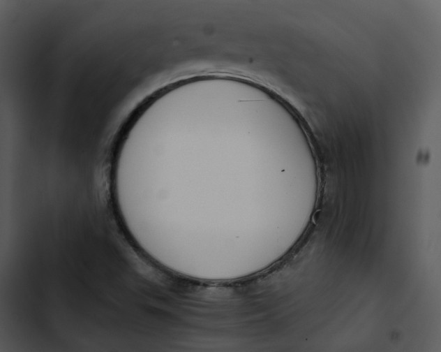 X0000102841503200809081207