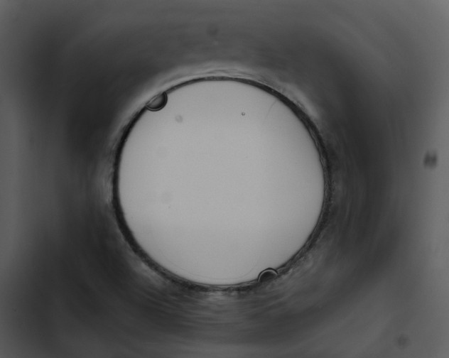 X0000102841504200809081207