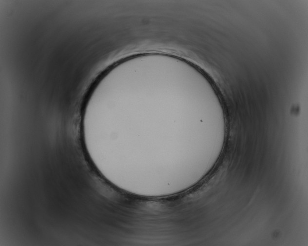 X0000102841507200809081207