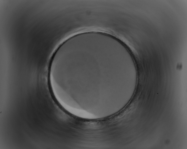 X0000102841508200809081207