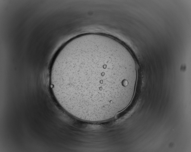 X0000102841509200809081207