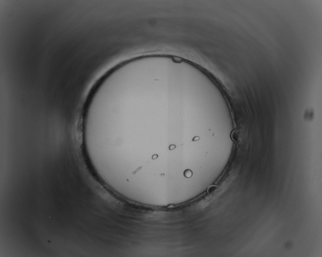 X0000102841510200809081207