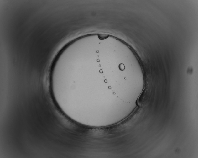 X0000102841511200809081207