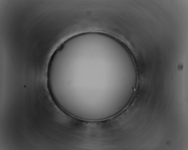 X0000102841512200809081207