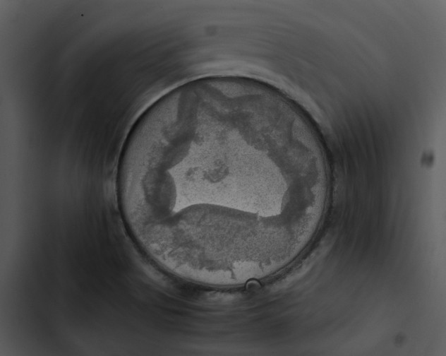 X0000102841513200809081207