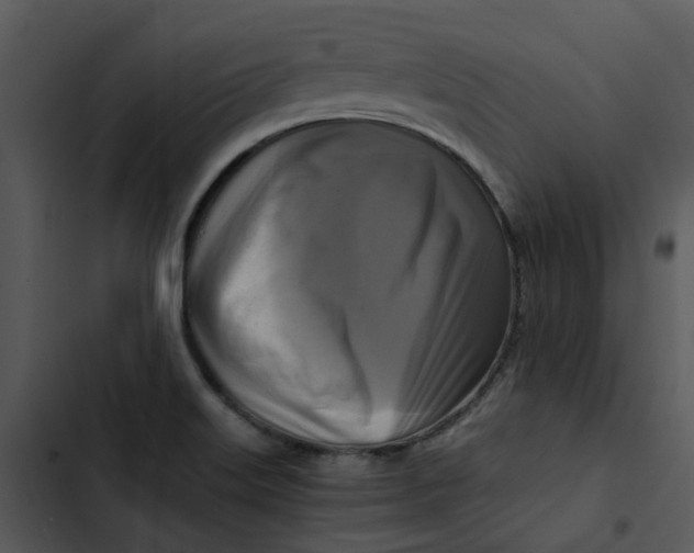 X0000102841515200809081207