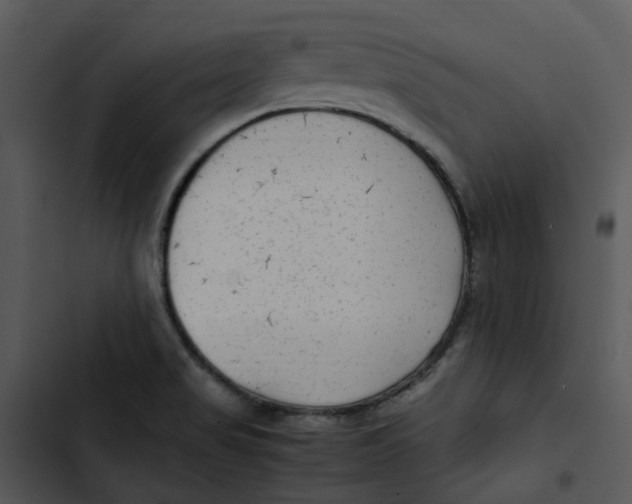 X0000102841517200809081207