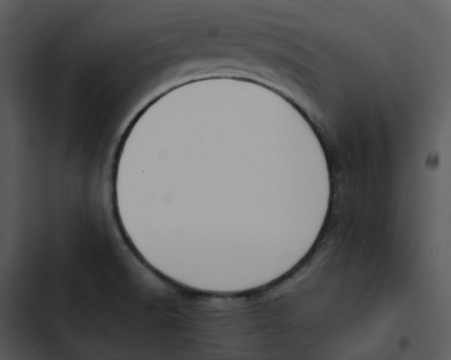 X0000102841518200809081207