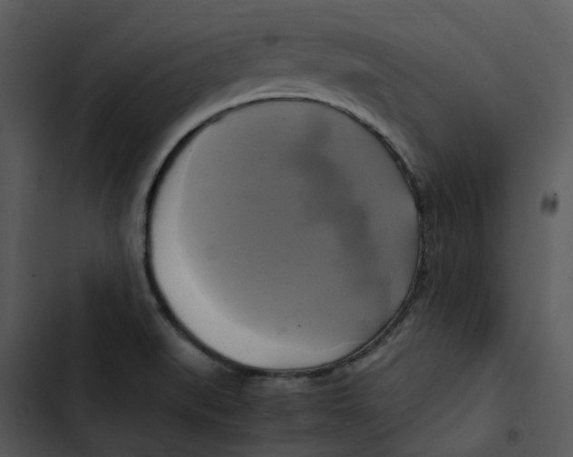 X0000102841519200809081207