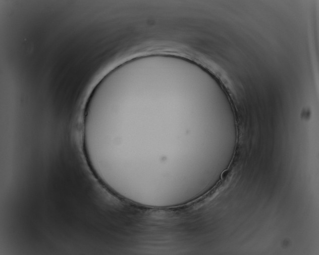 X0000102841520200809081207