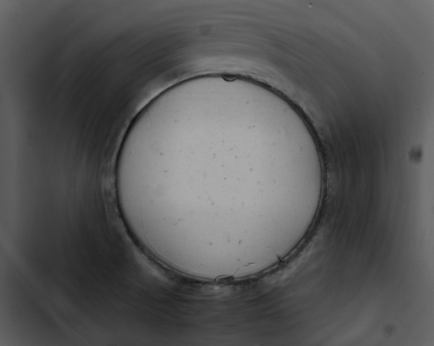 X0000102841521200809081207