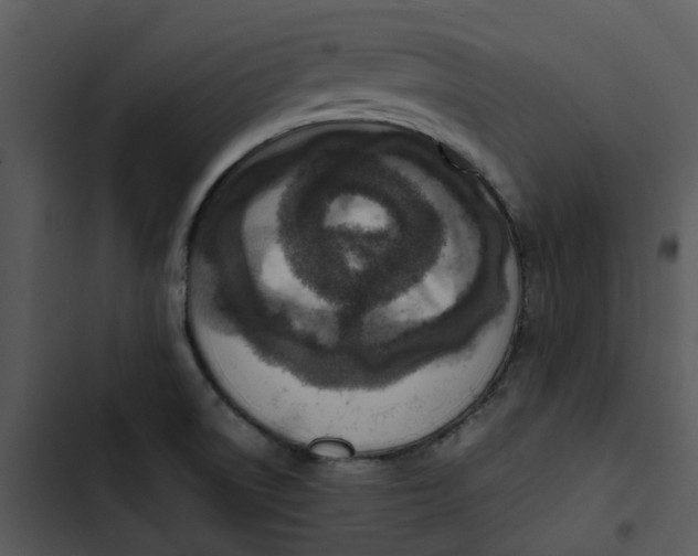 X0000102841522200809081207