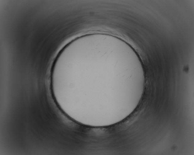 X0000102841523200809081207