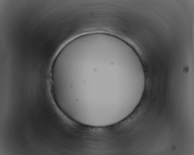 X0000102841524200809081207