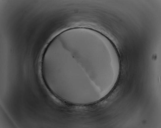 X0000102841525200809081207