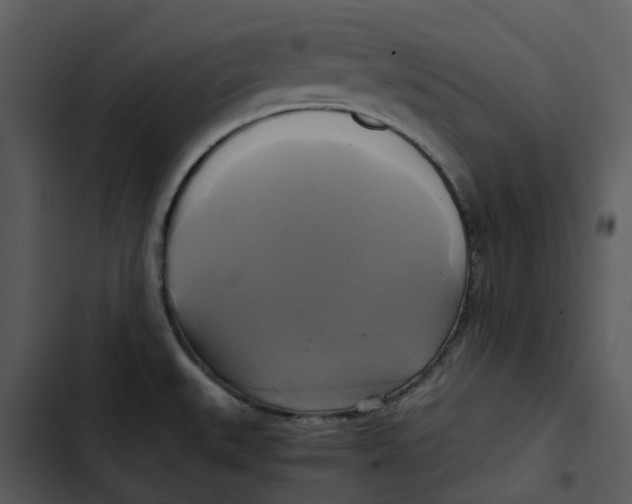 X0000102841527200809081207