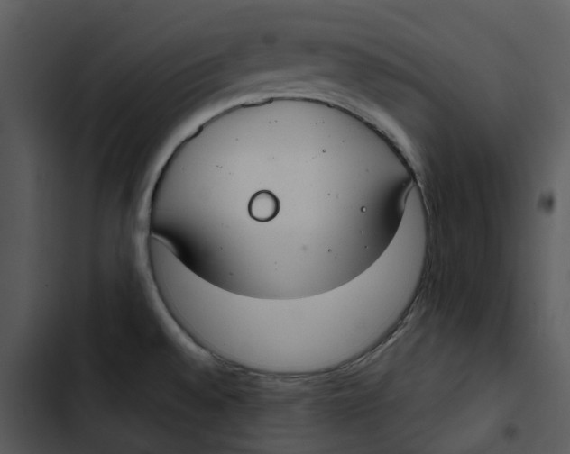 X0000102841528200809081207