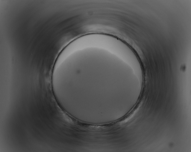 X0000102841529200809081207