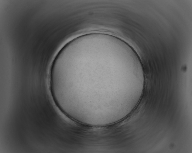 X0000102841531200809081207