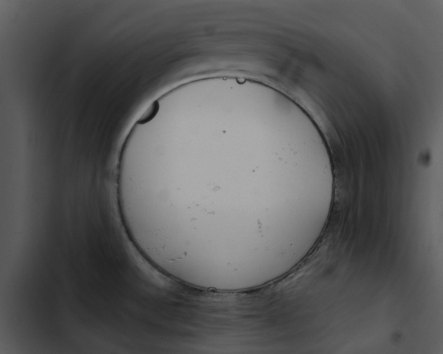 X0000102841532200809081208