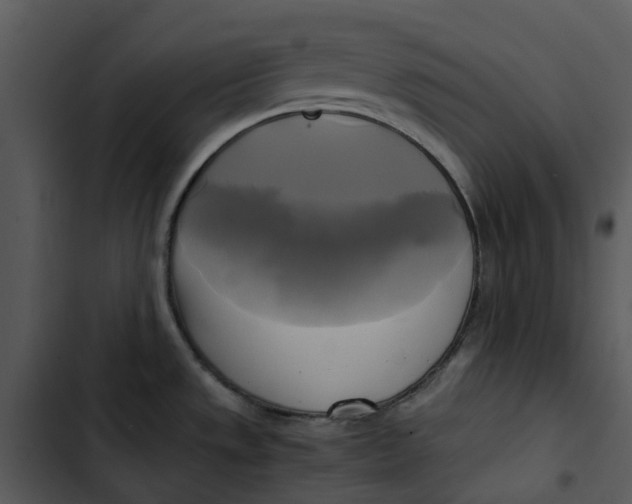 X0000102841533200809081208