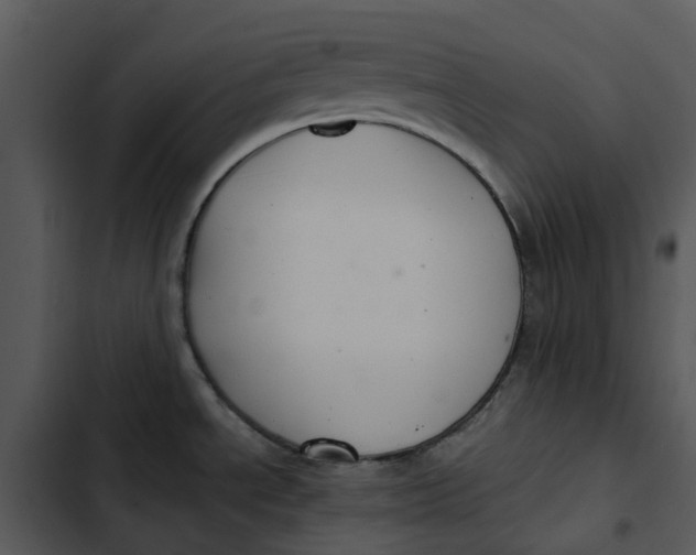 X0000102841534200809081208