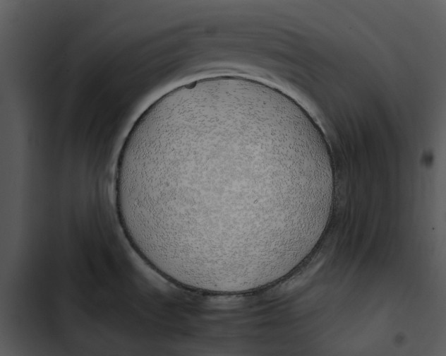 X0000102841535200809081208