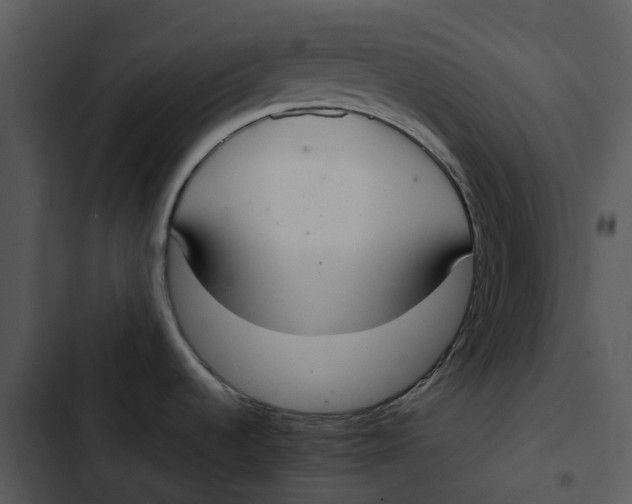 X0000102841536200809081208