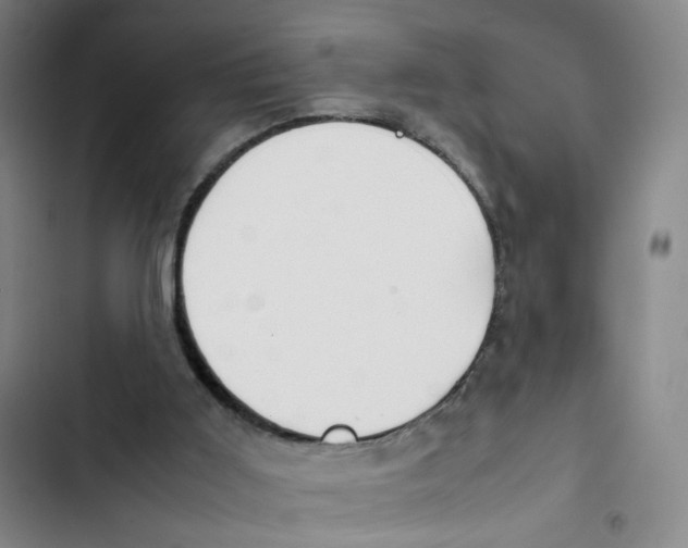 X0000102840011200809151115