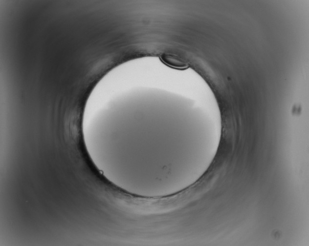 X0000102840023200809151114