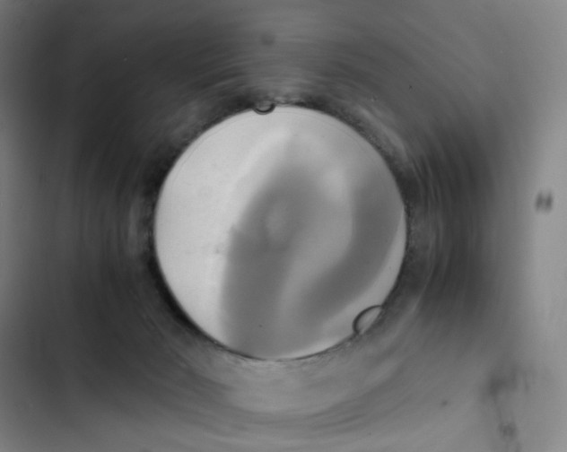 X0000102840030200809151114