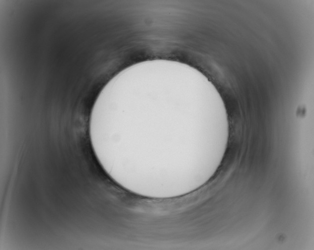 X0000102840033200809151114