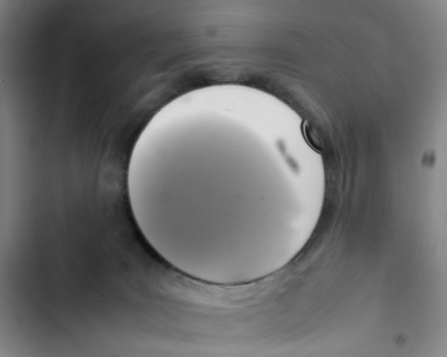 X0000102840035200809151114