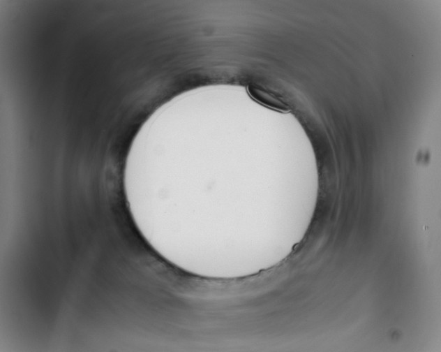 X0000102840037200809151114