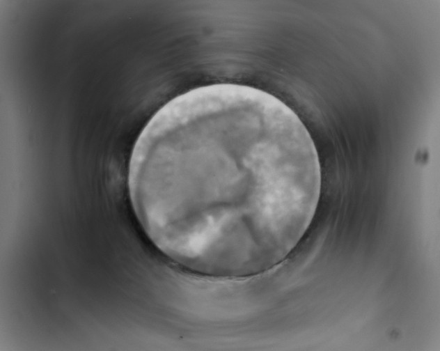 X0000102840040200809151114