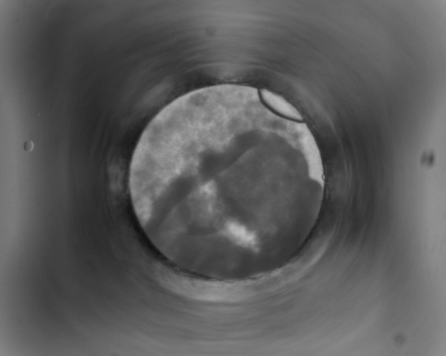 X0000102840044200809151114